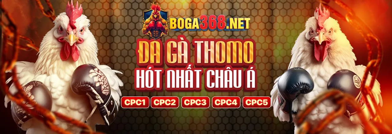 Đá Gà Trực Tuyến Hấp Dẫn tại king69 nhà cái