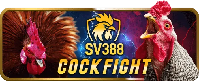 Các chương trình khuyến mãi và ưu đãi hấp dẫn từ king69 nhà cái